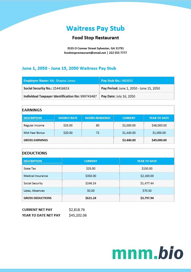 Waitress Pay Stub Template